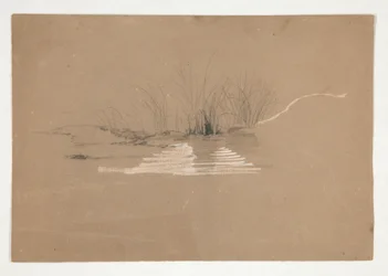 Träd på stranden av floden (?)