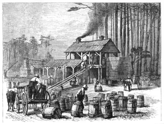Terpentindestilleri, North Carolina, 1870.