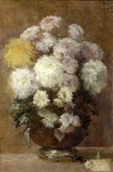 Krysantemum, 1892