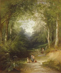 En väg genom skogen