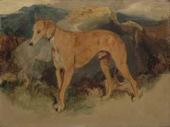 En rådjurshund, 1826.