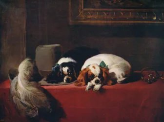 King Charles-spanieler, kavaljerernas sällskapsdjur, 1845, ca 1915