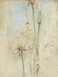 Butterfly and Thistledown (akvarell)