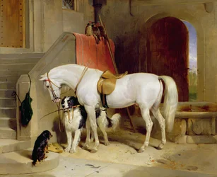 Prins Georges favoriter