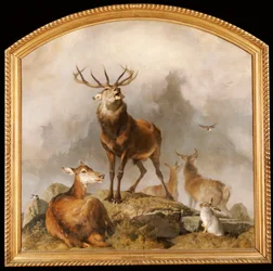 Scen i Braemar - Highland Deer