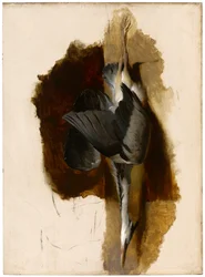 Studie av en död häger, ca 1832-33