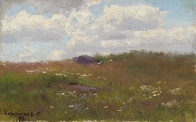 Äng med sommarblommor
