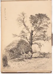 Utan titel