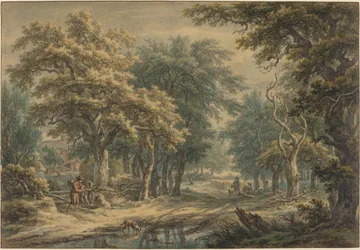Vid Donderen, i skogen i Drenthe