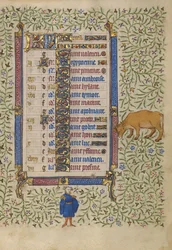 Kalendersida för april; Blomsterplockning; Oxen