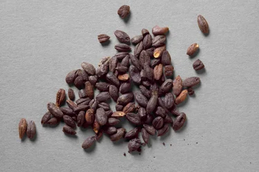 Husks of Emmer, från Fayum