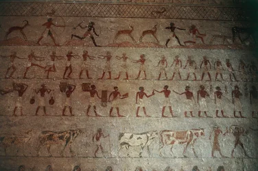 Nekropolen i Beni Hasan. Amenemhats grav, detalj: väggmålningar som skildrar jaktscener och lantliv