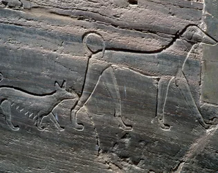 Ett par hundar, relief från ingången, Sarenput II:s grav, Prinsars gravar, Qubbet el-Hawa, Nilens västra strand vid Assuan, Egyptisk civilisation, Mellersta kungariket, Dynasti XII