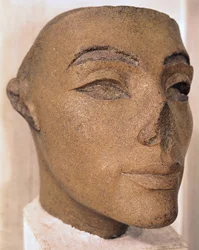 Ett kungligt huvud, möjligen av Nefertiti, från Memphis, New Kingdom (kvartsit) (se även 226534)