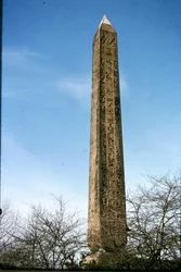 Cleopatras nål