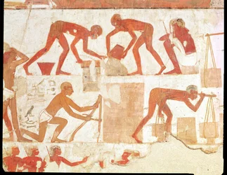 Konstruktion av en vägg, från graven av Rekhmire, vizier av Tuthmosis III och Amenhotep II, New Kingdom (väggmålning) (se 202228 för detaljer)