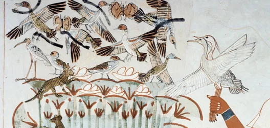 Ankor, bon, fjärilar, katter och gnagare, detalj från scenen för jakt och fiske i kärren, fresk, norra väggen, längsgående kammare, Theban Tomb TT69, Sheikh Abd el-Qurna, Thebe. Egyptisk civilisation, Nya kungariket, dynasti XVIII.