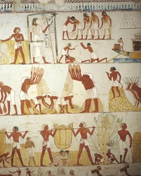 Egypten, Thebe, Luxor, Sheikh 