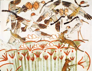 Fiske och fågelfågel i myrarna, detalj av fåglarna, från Tomb Chapel of Menna, New Kingdom (väggmålning)