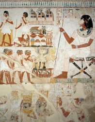 Menna övervakar sina arbetare på fälten, detalj från fresker i vestibulen av Mennas grav, Sheikh Abd el Qurnah Necropolis, Luxor, Thebe (Unescos världsarvslista