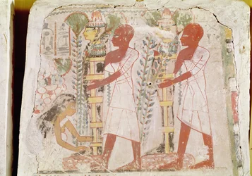 Förberedelse av två mumier för reningsceremonin, från Merymaats grav, New Kingdom (väggmålning)