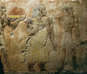 Queen of Punt, detalj