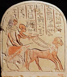 Stela föreställande en skrivare som kör en vagn, från Tell El-Amarna, New Kingdom, ca 1353-1337 f.Kr.