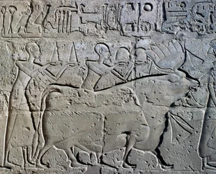 Figurer som symboliserar gruvdistrikt som för sina hyllningar till gud, relief, Ramses II:s innergård, Amuntemplet (Unescos världsarvslista)