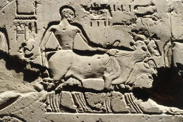 Egypten forntida bes, Luxor, Luxortemplet, Ramses II:s innergård, relief, Nya riket, XIX:e dynastin (1290-1224 f.Kr.)