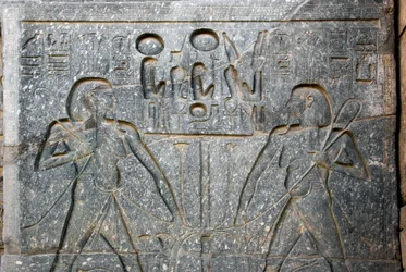 Egyptisk antikvitet: detalj av basen av statyn av farao Ramses II (1292-1186 f.Kr. som representerar föreningen av övre och nedre Egypten. Luxors tempel. Östbanken (Thebe), Egypten