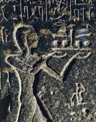 Granitstaty föreställande prins Merneptah i dyrkan, tillägnad guden Ptah