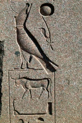 Hieroglyf med Horus namn, Amuns stora tempel, Tanis, Egypten, Nya riket, XIX:e dynastin