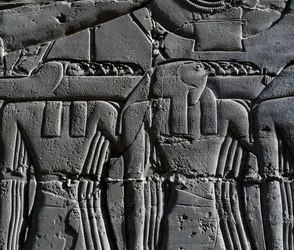 Präst med hökmask, detalj från scen föreställande Ramses II framför helig båt, relief, innerväggar i Stora hypostylhallen, Karnaks tempelkomplex (Unescos världsarvslista