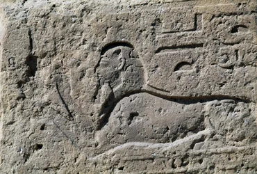 Sfinx, block med relief, Amuns stora tempel, Tanis, Egypten, Nya riket, XIX:e dynastin