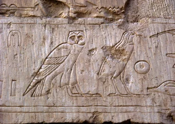 Egyptisk antikvitet: relief som representerar en uggla och en örn. Ankh-Hors grav (Ankh Hor) (TT414) (26:e dynastin, 672-525 f.Kr.), Luxor (Thebe), Egypten