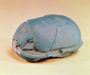 Scarab från en mumies halspärla, sen period, c.600 f.Kr. (blå glaspasta)