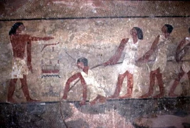 Målning av fiskare som drar nät i graven av Khnumhotep II, Gamla kungariket, 2600-1500 f.Kr. (väggmålning)