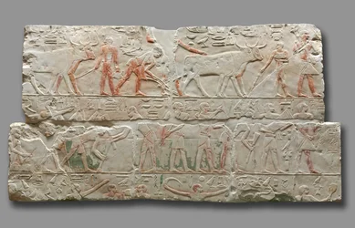 Relief av jordbruksscener, från Saqqara, c.2311-2281