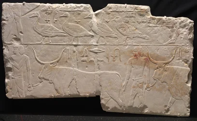 Relief av män som kommer med fåglar och boskap, c.2311-2281 f.Kr