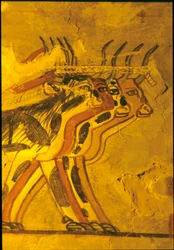 Forntida Egypten, Väggmålning, Sennufers grav, De adligas grav, Thebe