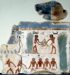 Egyptisk antikvitet: början av sommaren. Fåglar dödas av två bönder. Detalj av en målad kalkstensfresk från soltemplet i Abu Gurob. Berlin, egyptiska museet