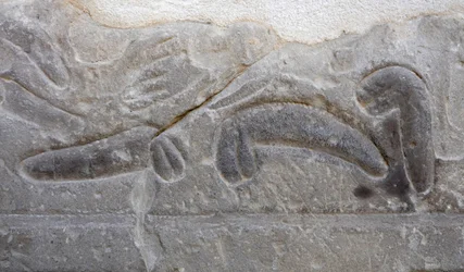 Högar med manliga könsorgan som skurits av fienden, Horustemplet, Edfu