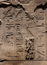 Hieroglyfer. Luxor-templet (relief)