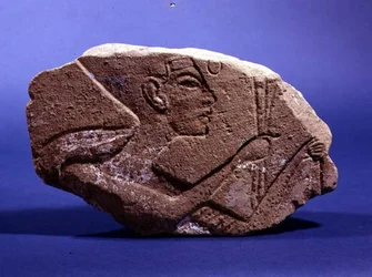 Reliefhuvud för Nefertiti, från Abadaya-graven B86 (sten)