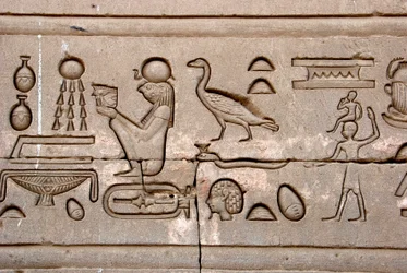Egyptisk antikvitet: hieroglyfer på den östra väggen av Hathor Temple, Denderah, Egypten - Egyptisk civilisation: hieroglyfer ristade på väggen av Hathor Temple (eller Temple of Tentyra) i Denderah, byggt under Pepi I:s regeringstid (ca 2250 f.Kr.) - Dende