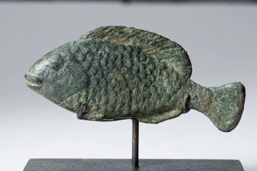 Tilapia fisk (brons)