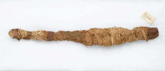 Krokodilmummi, hittad i Manfalont, 305 f.Kr.-30 f.Kr. (djurrester och linne)