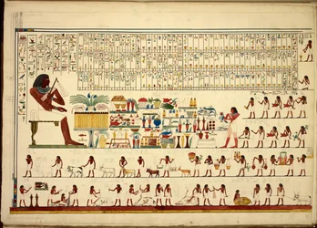 Egyptiska hieroglyfer, ur Vyer etc. från Sheikh Hassan till Beni Hassan, atlasfolio