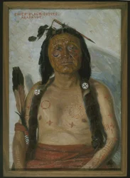 Hövding Black-Coyote