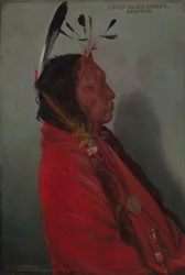 Hövding Black-Coyote